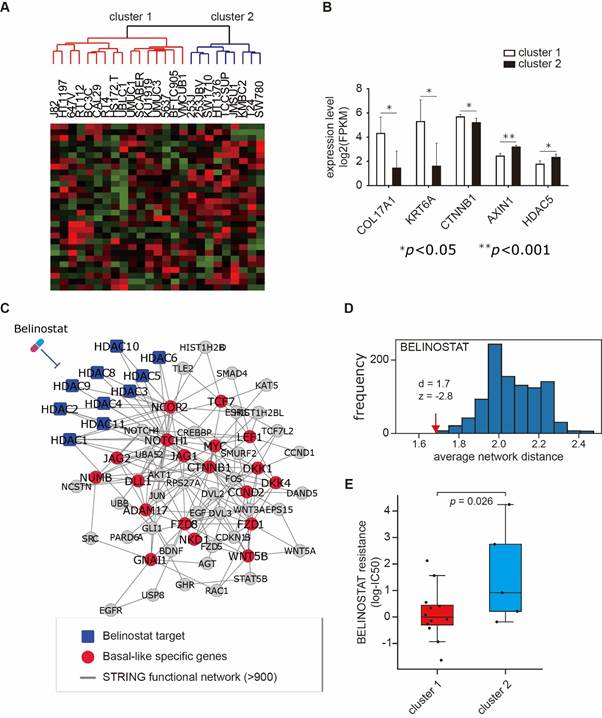 cell_line_drug_IC50_2clusters