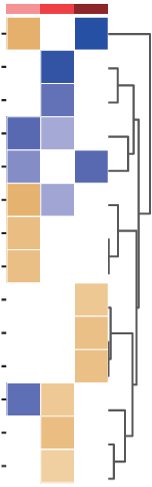 Microbe Heatmap